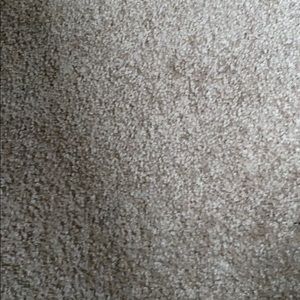 Meet your Posher, Tarah